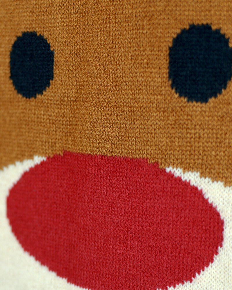 Detail Red Family Ugly Christmas Sweater with Rudolph the Reindeer