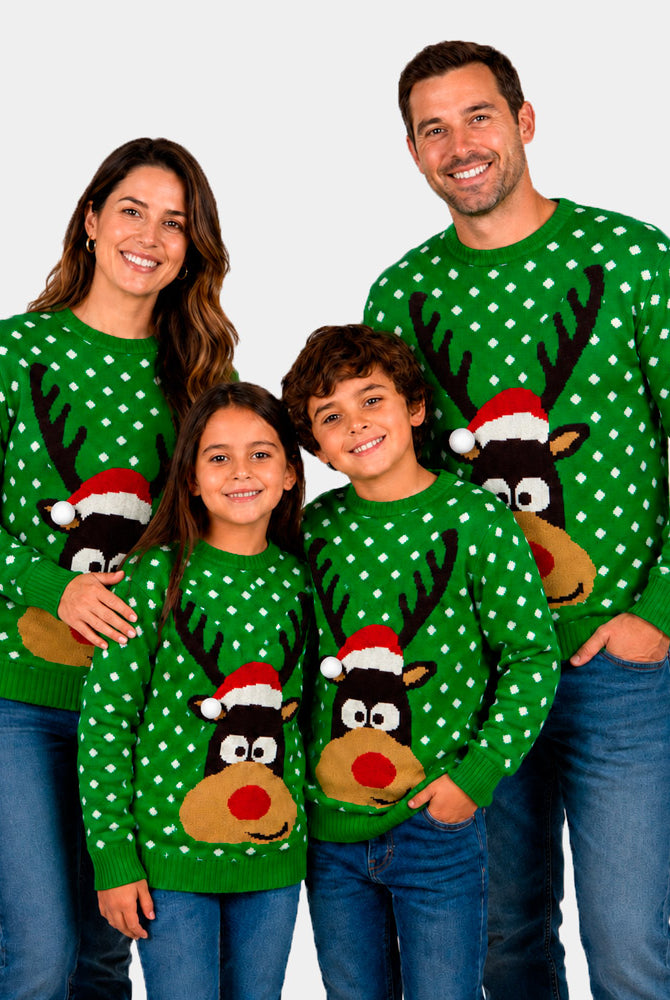 Matching Family Green 3D Cotton Ugly Christmas Sweater – Reindeer with Santa's hat