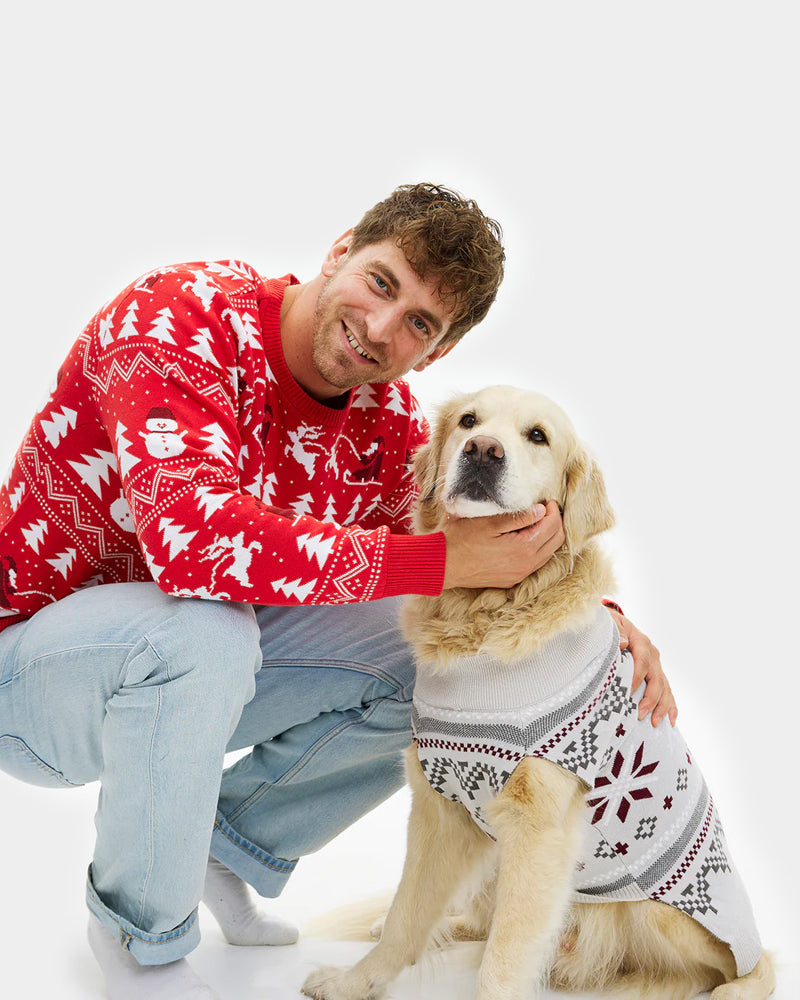 Grey Dog Ugly Christmas Sweater with Polar Stars Men
