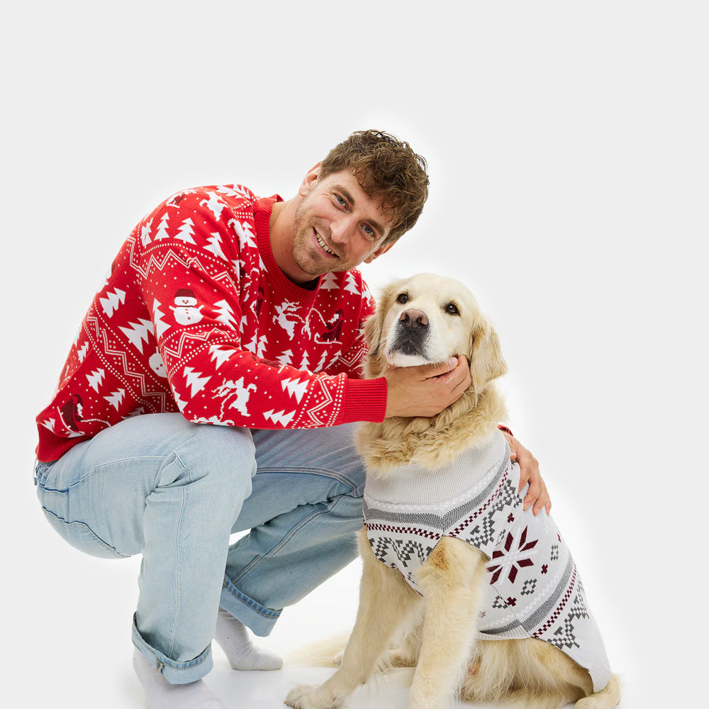 Grey Dog Ugly Christmas Sweater with Polar Stars Men