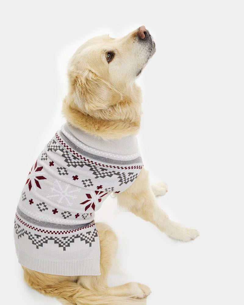 Grey Dog Ugly Christmas Sweater with Polar Stars