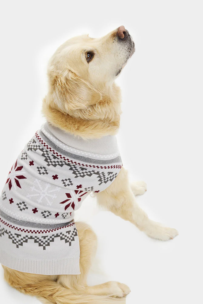 Grey Dog Ugly Christmas Sweater with Polar Stars