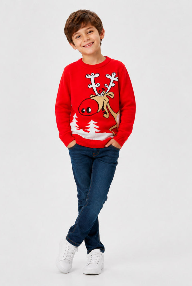 Red Family Ugly Christmas Sweater Reindeer with a Beer Boy