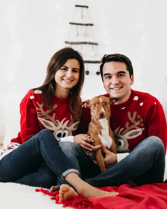 Ugly Christmas Sweaters 2021 2