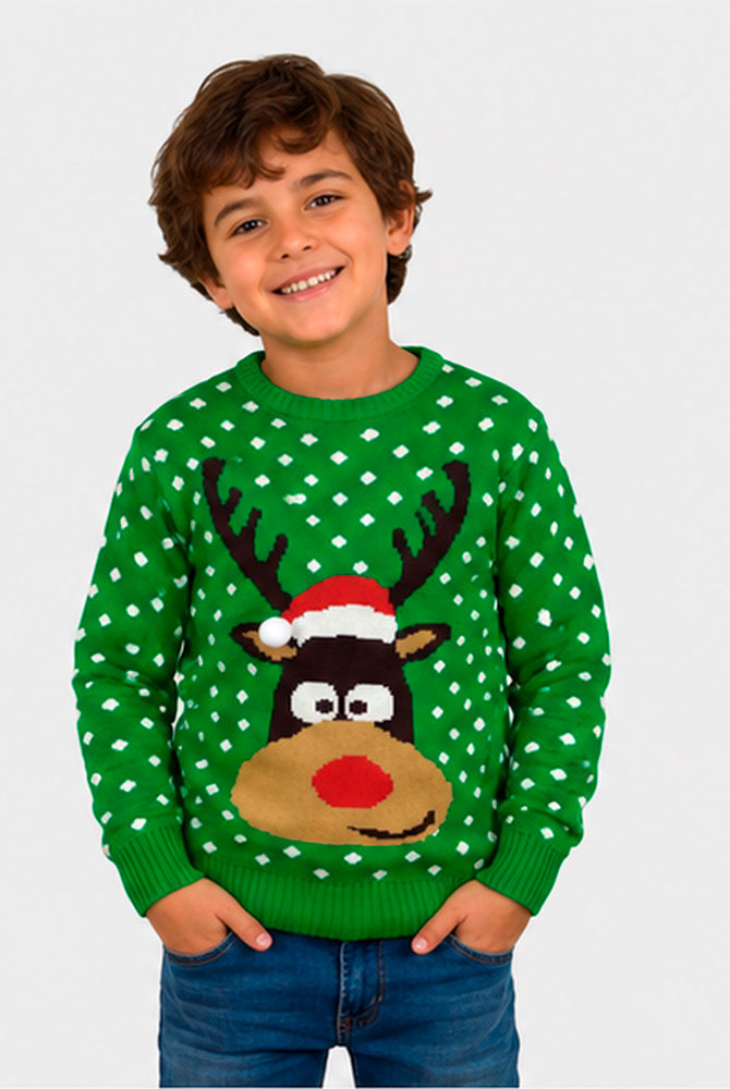 Boys Green 3D Family Ugly Christmas Sweater Reindeer with Santa's hat