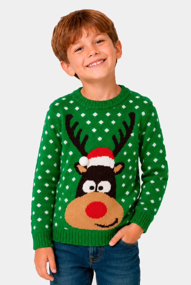 Boys Green 3D Family Ugly Christmas Sweater Reindeer with Santa's hat