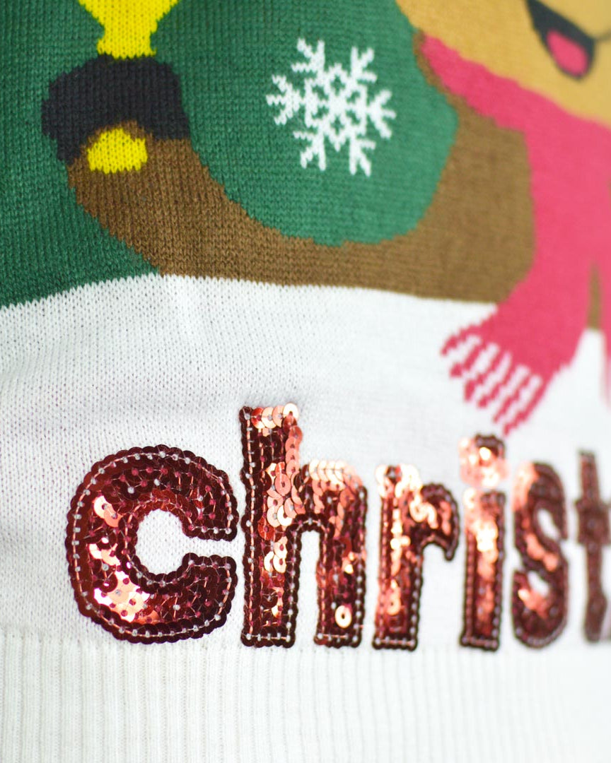 Green Family Ugly Christmas Sweater Holly Jolly with Sequins detail