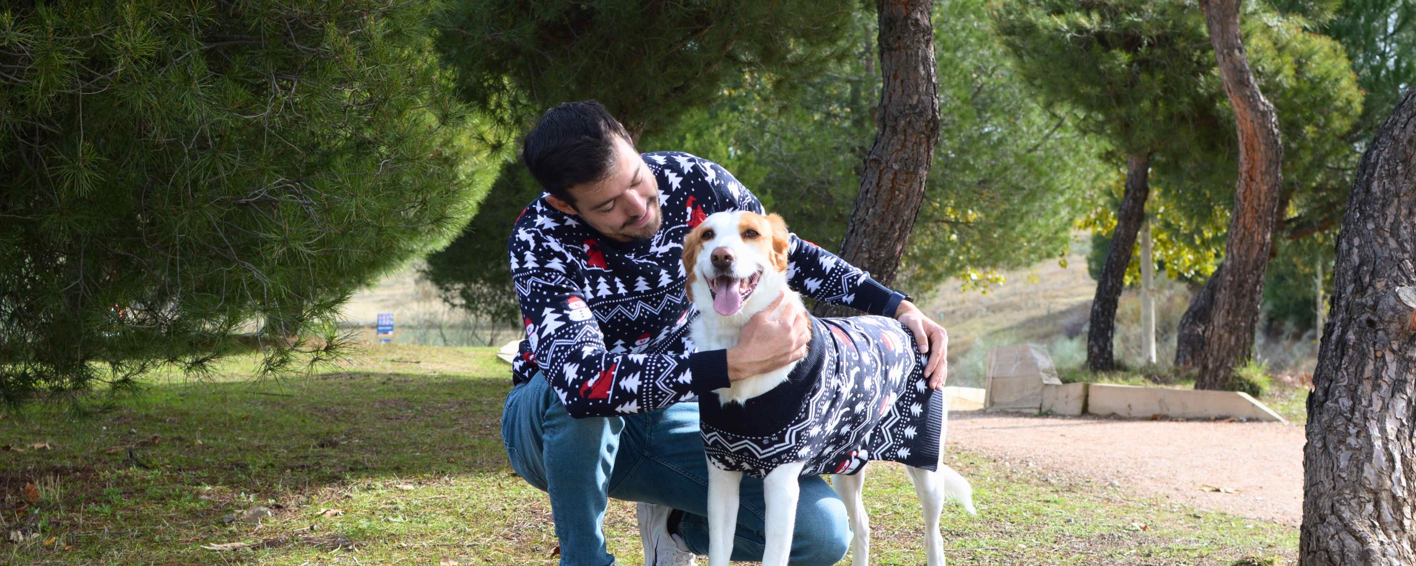 Dog Christmas Sweater