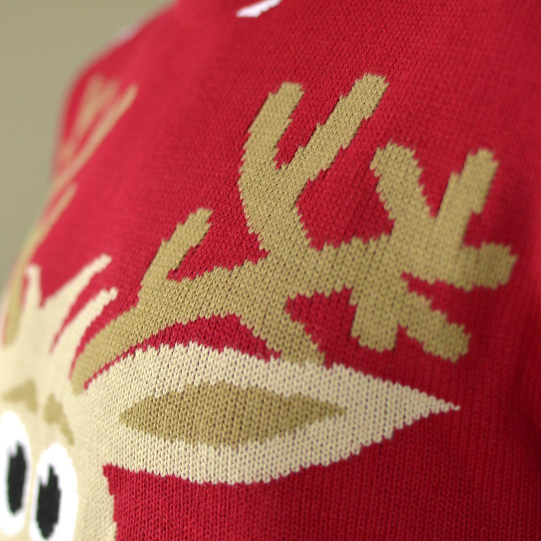 Family Red Ugly Christmas Sweater with Reindeer and Snow