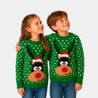 Matching Family Green 3D Cotton Ugly Christmas Sweater Children – Reindeer with Santa's hat
