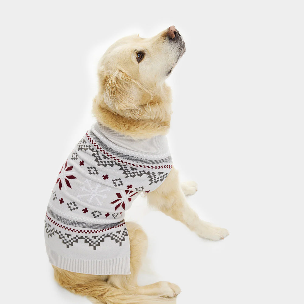 Grey Dog Ugly Christmas Sweater with Polar Stars
