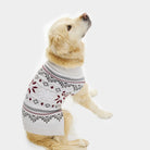 Grey Dog Ugly Christmas Sweater with Polar Stars
