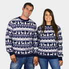 Children Mens Womens Ugly Christmas Sweater with Reindeers and Trees Strips