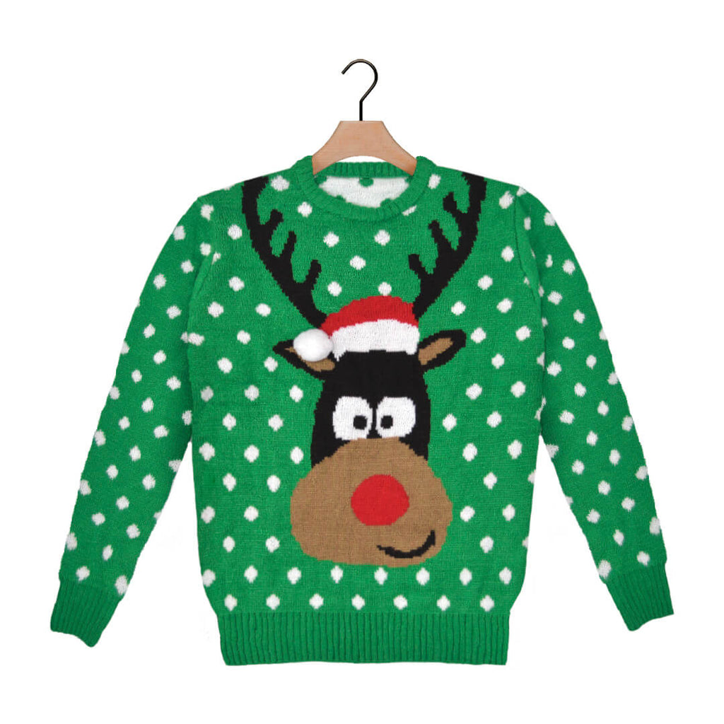 Green 3D Boys and Girls Ugly Christmas Sweater Reindeer with Santa's hat