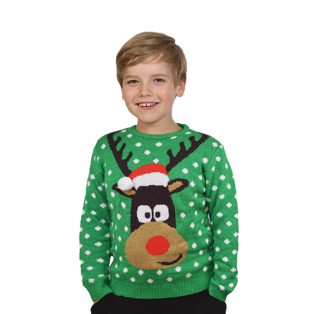 Green 3D Boys Ugly Christmas Sweater Reindeer with Santa's hat