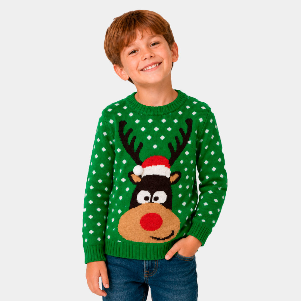 Boys Green 3D Family Ugly Christmas Sweater Reindeer with Santa's hat